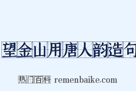 望金山用唐人韵造句是什么意思的图片